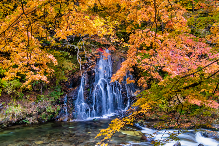 中野市の魅力