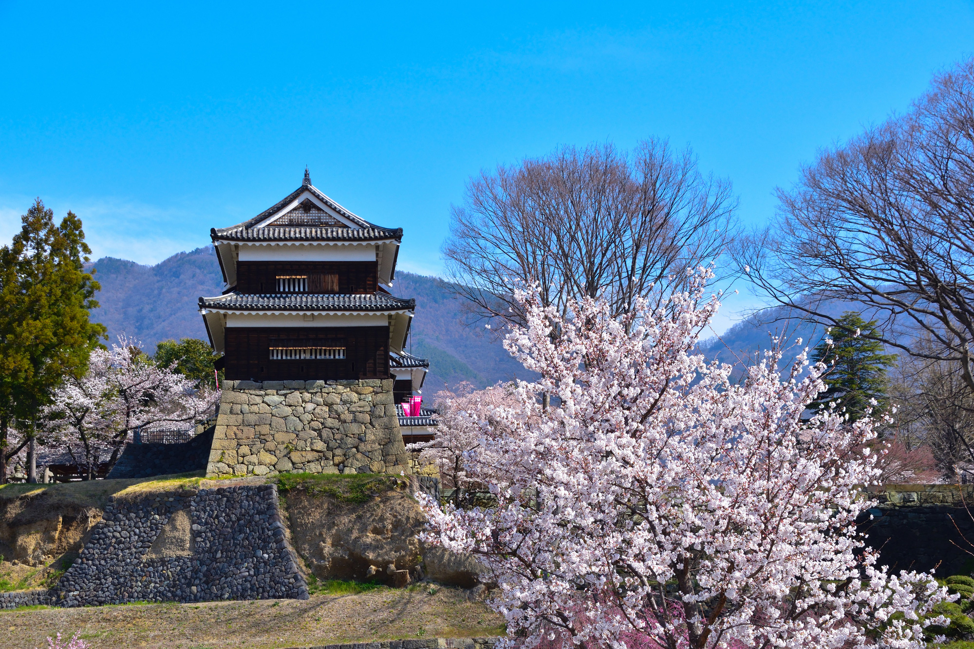 上田市の魅力